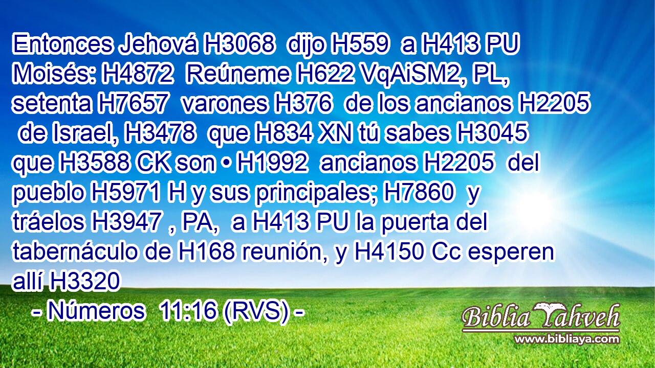 Entonces Jehová H3068  dijo H559  a H413 PU Moisés: H4872  Reúneme H622 VqAiSM2, PL,  setenta H7657  varones H376  de los ancianos H2205  de Israel, H3478  que H834 XN tú sabes H3045  que H3588 CK son • H1992  ancianos H2205  del pueblo H5971 H y sus principales; H7860  y tráelos H3947 , PA,  a H413 PU la puerta del tabernáculo de H168 reunión, y H4150 Cc esperen allí H3320 