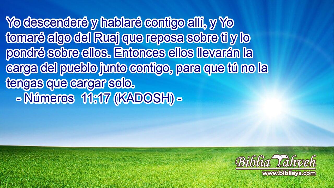  Yo descenderé y hablaré contigo allí, y Yo tomaré algo del Ruaj que reposa sobre ti y lo pondré sobre ellos. Entonces ellos llevarán la carga del pueblo junto contigo, para que tú no la tengas que cargar solo. 