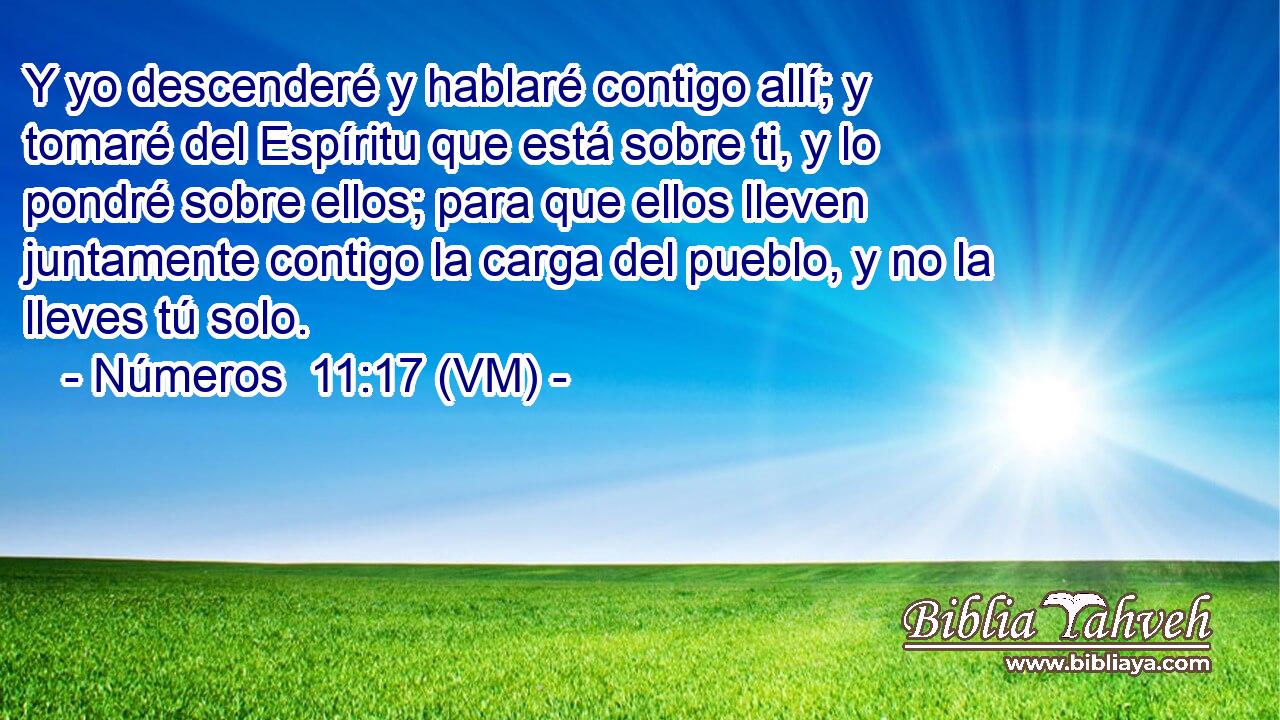  Y yo descenderé y hablaré contigo allí; y tomaré del Espíritu que está sobre ti, y lo pondré sobre ellos; para que ellos lleven juntamente contigo la carga del pueblo, y no la lleves tú solo. 
