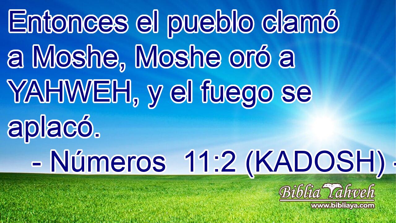  Entonces el pueblo clamó a Moshe, Moshe oró a YAHWEH, y el fuego se aplacó. 