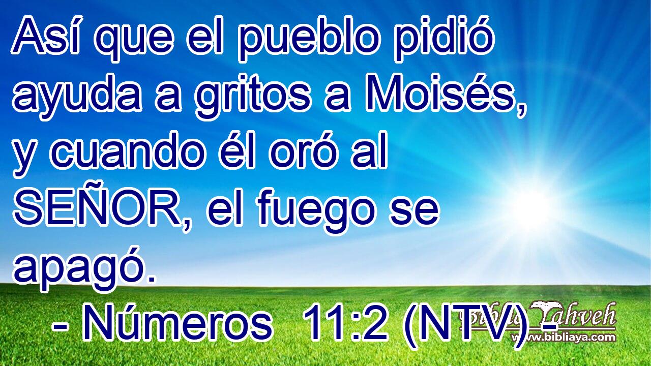 Así que el pueblo pidió ayuda a gritos a Moisés, y cuando él oró al SEÑOR, el fuego se apagó.