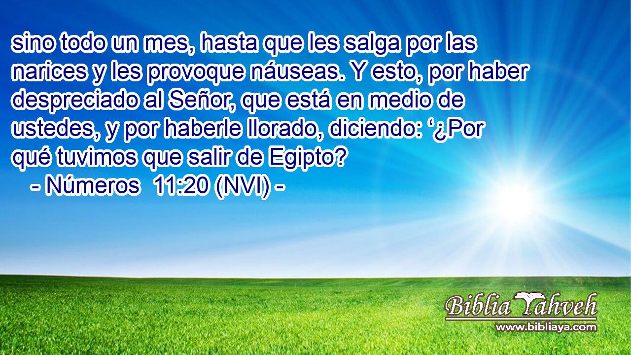  sino todo un mes, hasta que les salga por las narices y les provoque náuseas. Y esto, por haber despreciado al Señor, que está en medio de ustedes, y por haberle llorado, diciendo: ‘¿Por qué tuvimos que salir de Egipto? 