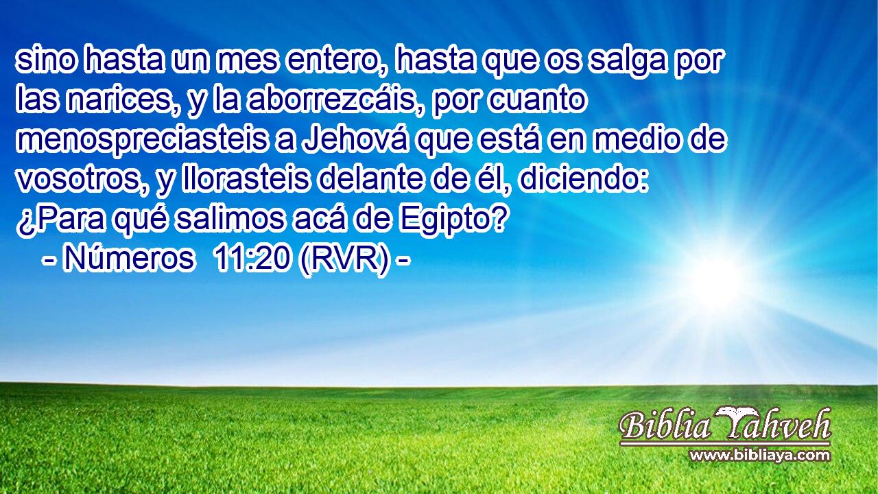 sino hasta un mes entero, hasta que os salga por las narices, y la aborrezcáis, por cuanto menospreciasteis a Jehová que está en medio de vosotros, y llorasteis delante de él, diciendo: ¿Para qué salimos acá de Egipto?