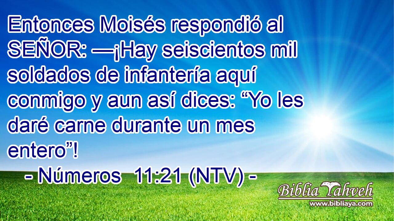 Entonces Moisés respondió al SEÑOR: —¡Hay seiscientos mil soldados de infantería aquí conmigo y aun así dices: “Yo les daré carne durante un mes entero”!
