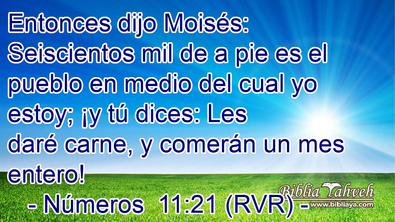 Entonces dijo Moisés: Seiscientos mil de a pie es el pueblo en medio del cual yo estoy; ¡y tú dices: Les daré carne, y comerán un mes entero!