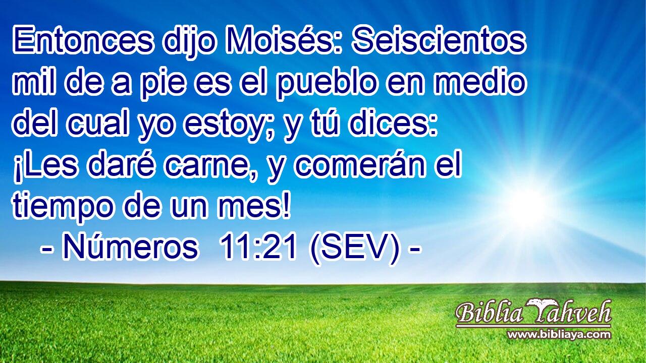 Entonces dijo Moisés: Seiscientos mil de a pie es el pueblo en medio del cual yo estoy; y tú dices: ¡Les daré carne, y comerán el tiempo de un mes!