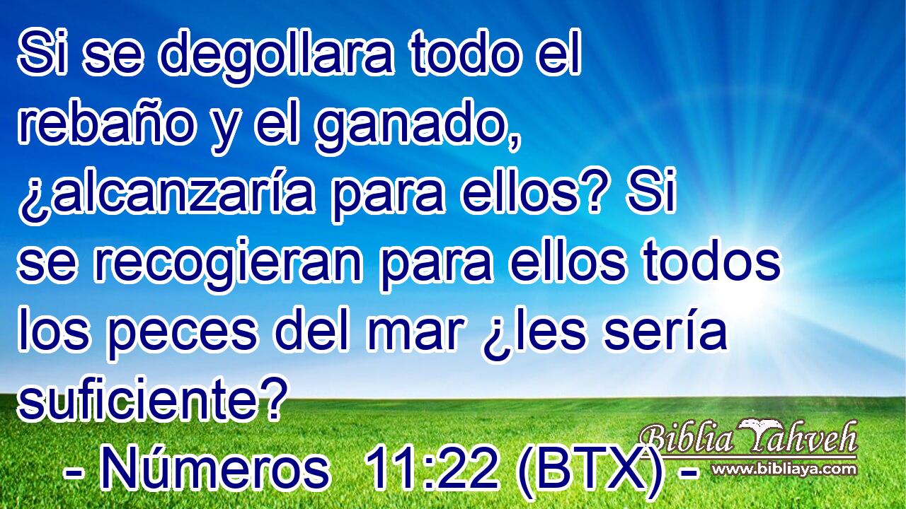 Si se degollara todo el rebaño y el ganado, ¿alcanzaría para ellos? Si se recogieran para ellos todos los peces del mar ¿les sería suficiente?