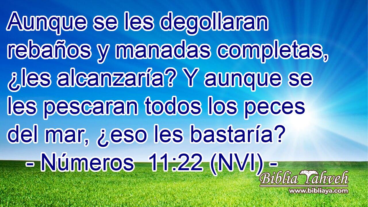  Aunque se les degollaran rebaños y manadas completas, ¿les alcanzaría? Y aunque se les pescaran todos los peces del mar, ¿eso les bastaría? 
