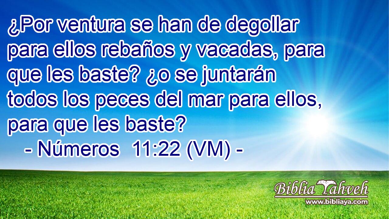  ¿Por ventura se han de degollar para ellos rebaños y vacadas, para que les baste? ¿o se juntarán todos los peces del mar para ellos, para que les baste? 