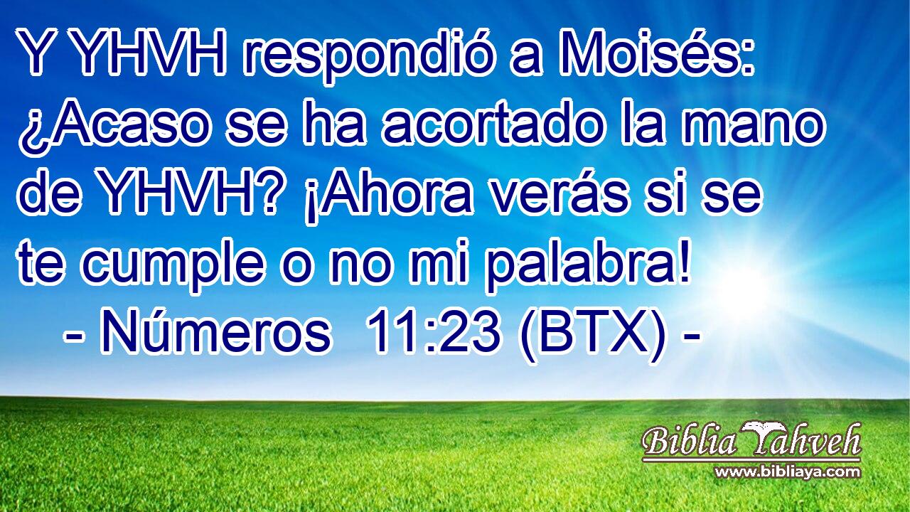 Y YHVH respondió a Moisés: ¿Acaso se ha acortado la mano de YHVH? ¡Ahora verás si se te cumple o no mi palabra!