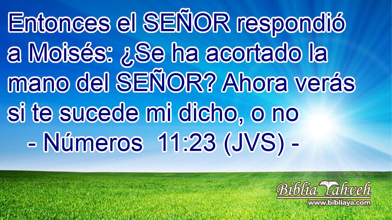 Entonces el SEÑOR respondió a Moisés: ¿Se ha acortado la mano del SEÑOR? Ahora verás si te sucede mi dicho, o no