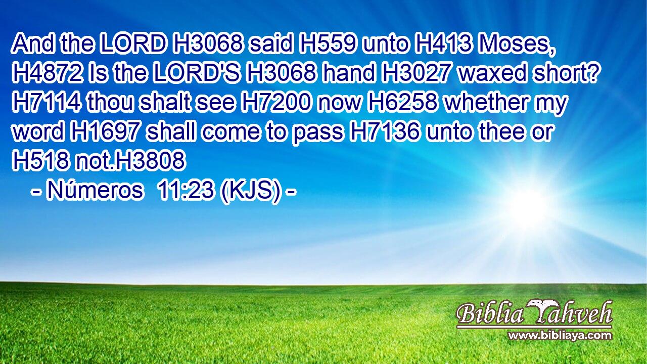 And the LORD H3068 said H559 unto H413 Moses, H4872 Is the LORD'S H3068 hand H3027 waxed short? H7114 thou shalt see H7200 now H6258 whether my word H1697 shall come to pass H7136 unto thee or H518 not.H3808