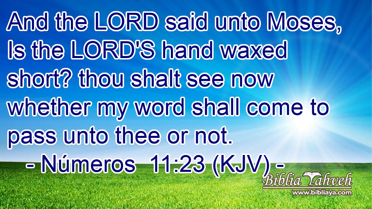 And the LORD said unto Moses, Is the LORD'S hand waxed short? thou shalt see now whether my word shall come to pass unto thee or not.
