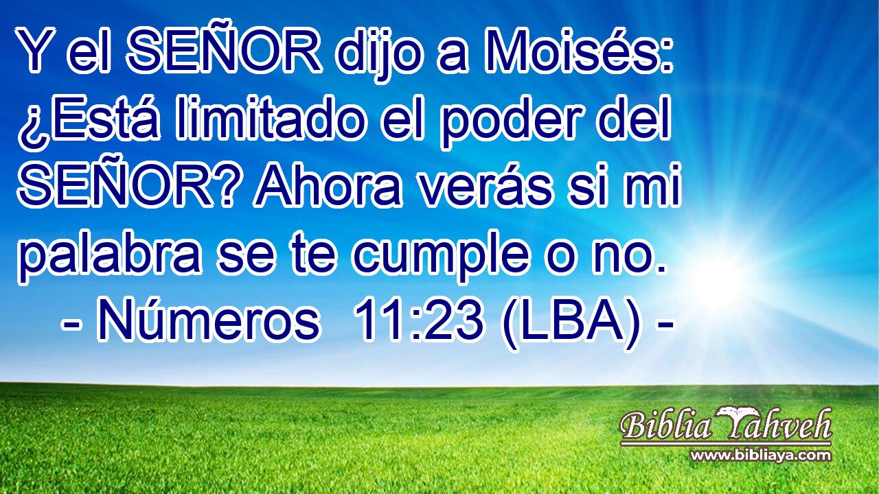 Y el SEÑOR dijo a Moisés: ¿Está limitado el poder del SEÑOR? Ahora verás si mi palabra se te cumple o no.