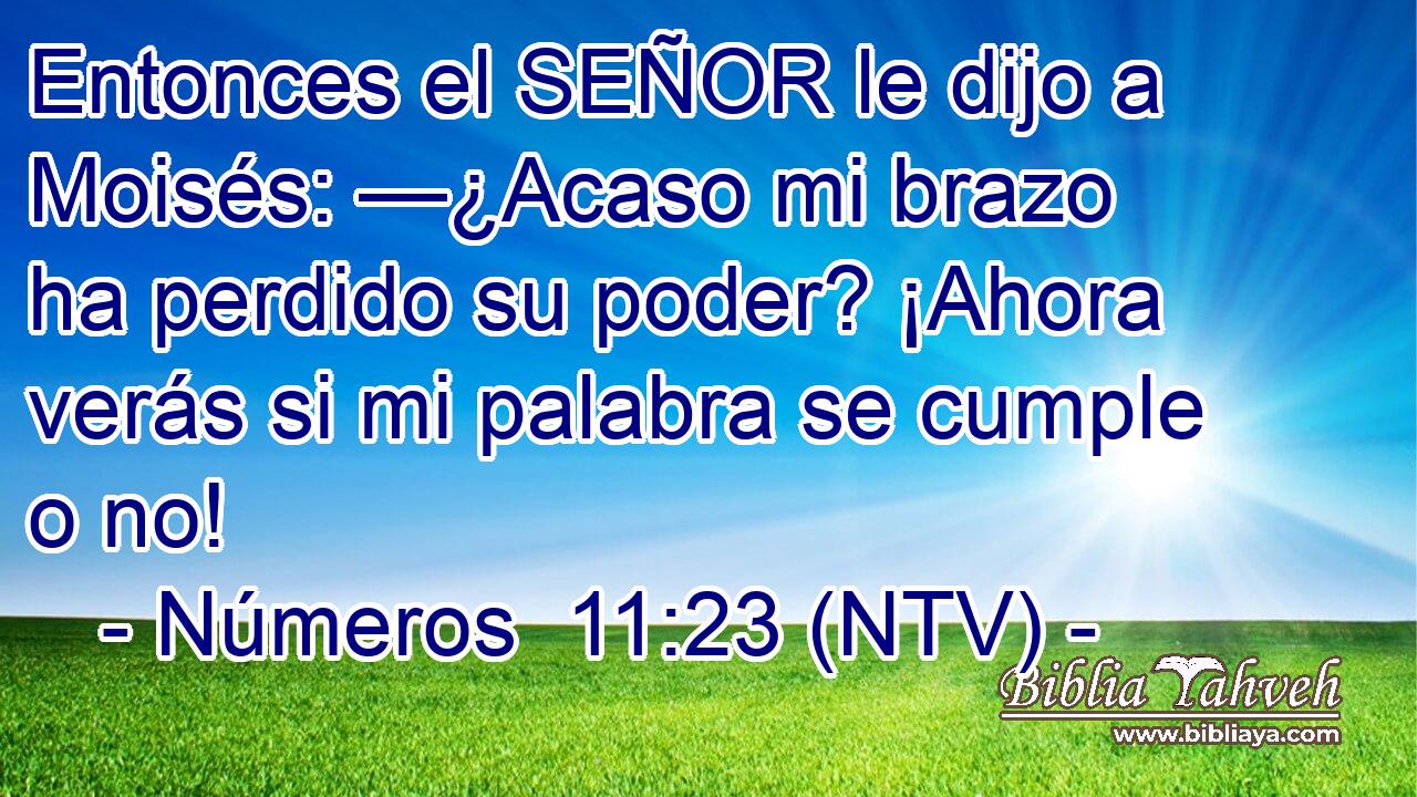 Entonces el SEÑOR le dijo a Moisés: —¿Acaso mi brazo ha perdido su poder? ¡Ahora verás si mi palabra se cumple o no!