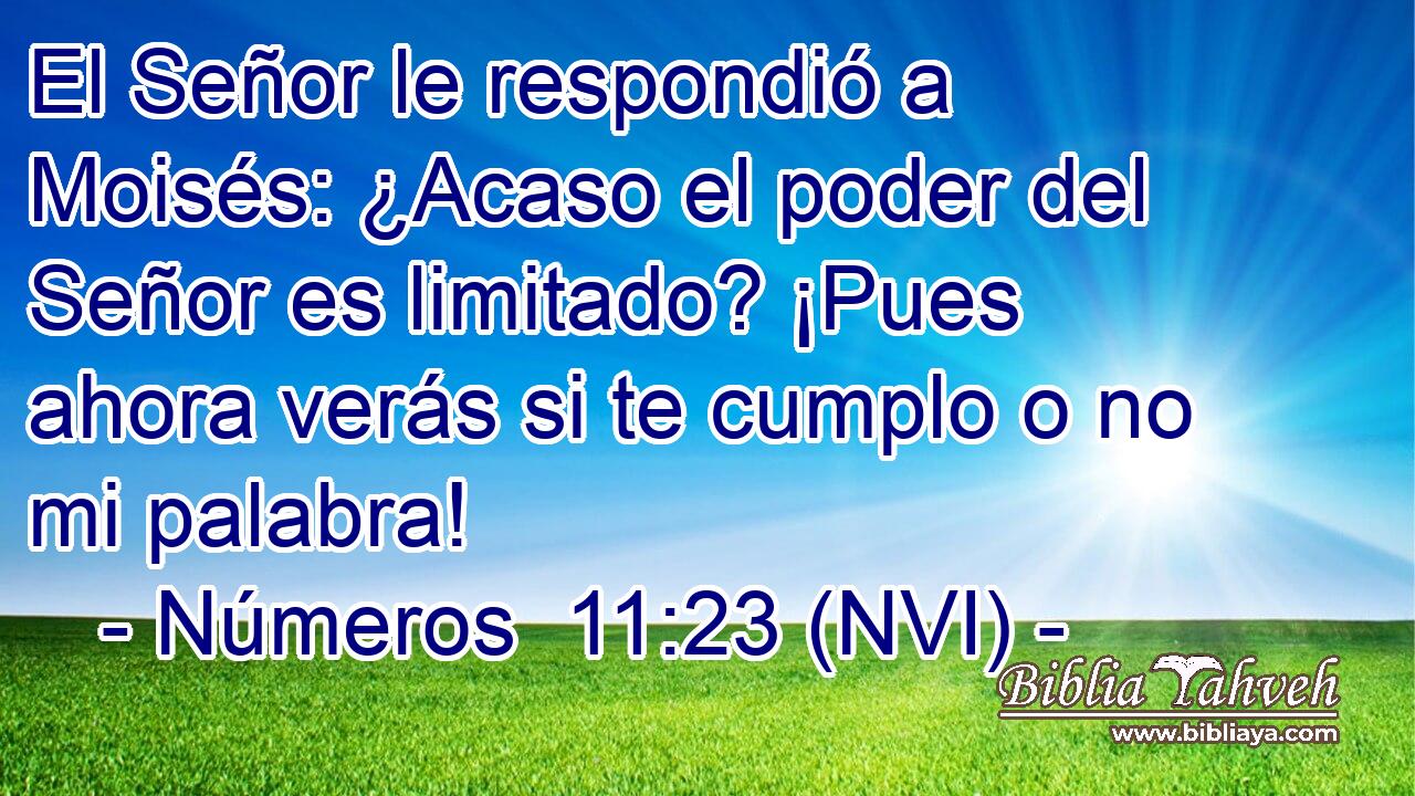  El Señor le respondió a Moisés: ¿Acaso el poder del Señor es limitado? ¡Pues ahora verás si te cumplo o no mi palabra! 
