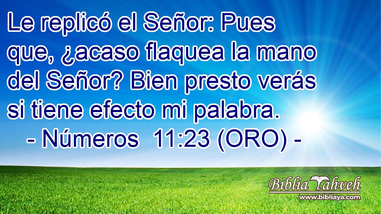  Le replicó el Señor: Pues que, ¿acaso flaquea la mano del Señor? Bien presto verás si tiene efecto mi palabra. 