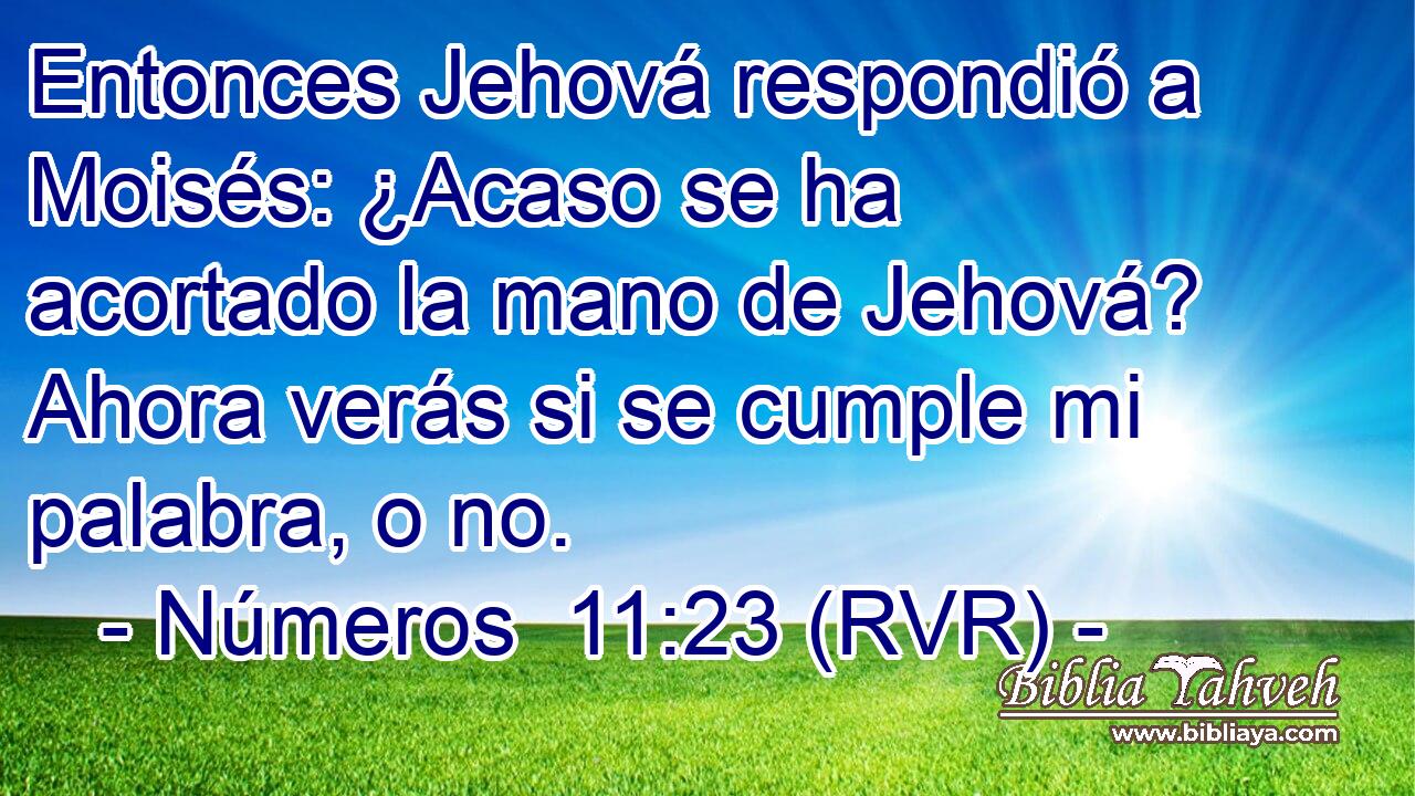 Entonces Jehová respondió a Moisés: ¿Acaso se ha acortado la mano de Jehová? Ahora verás si se cumple mi palabra, o no.