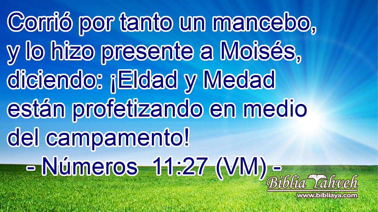  Corrió por tanto un mancebo, y lo hizo presente a Moisés, diciendo: ¡Eldad y Medad están profetizando en medio del campamento! 