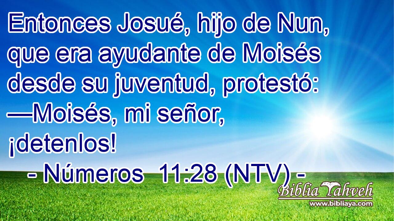 Entonces Josué, hijo de Nun, que era ayudante de Moisés desde su juventud, protestó: —Moisés, mi señor, ¡detenlos!