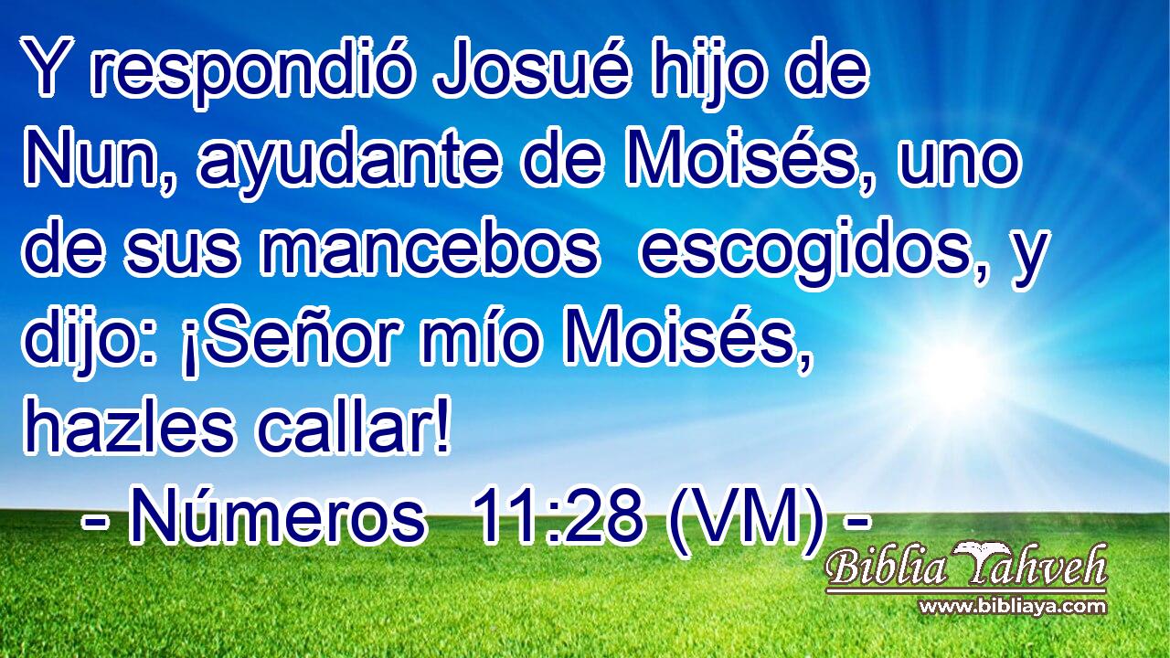  Y respondió Josué hijo de Nun, ayudante de Moisés, uno de sus mancebos  escogidos, y dijo: ¡Señor mío Moisés, hazles callar! 