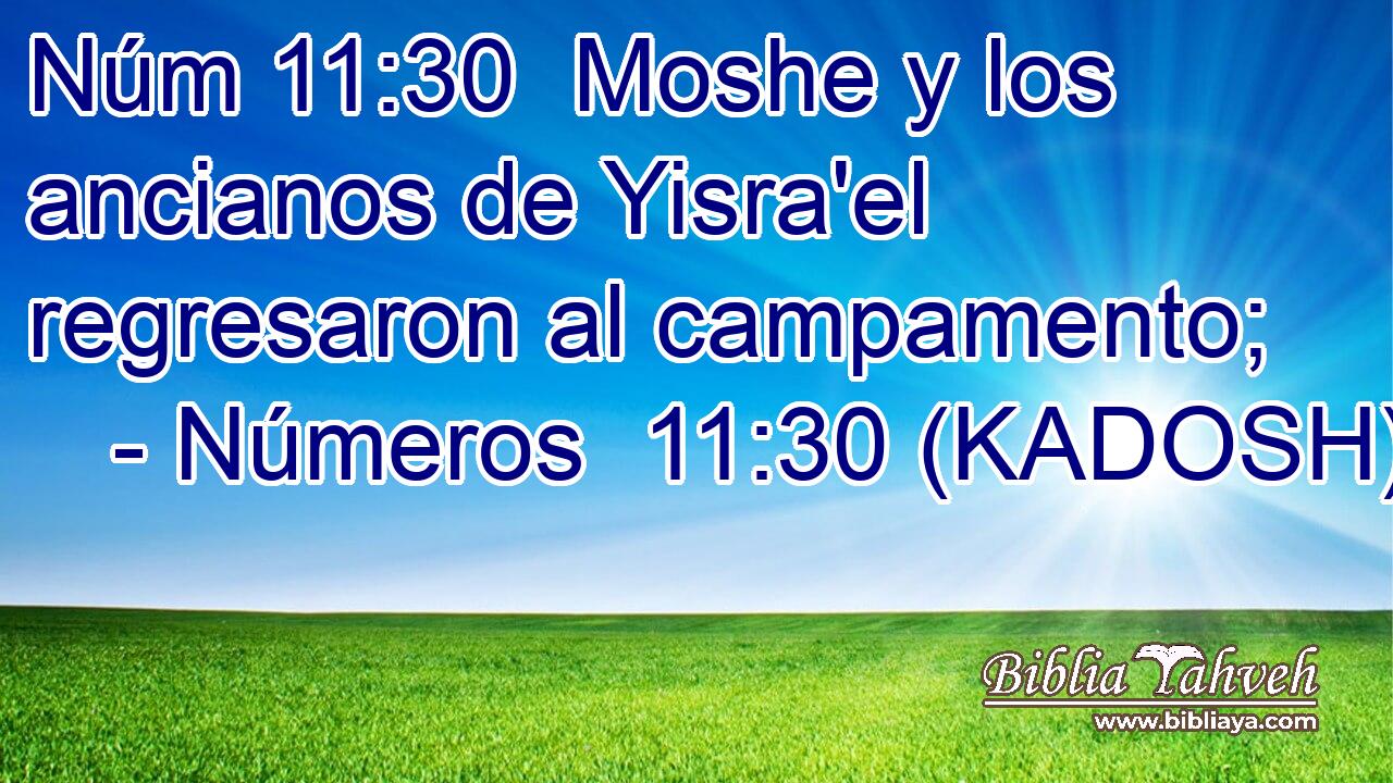  Moshe y los ancianos de Yisra'el regresaron al campamento; 
