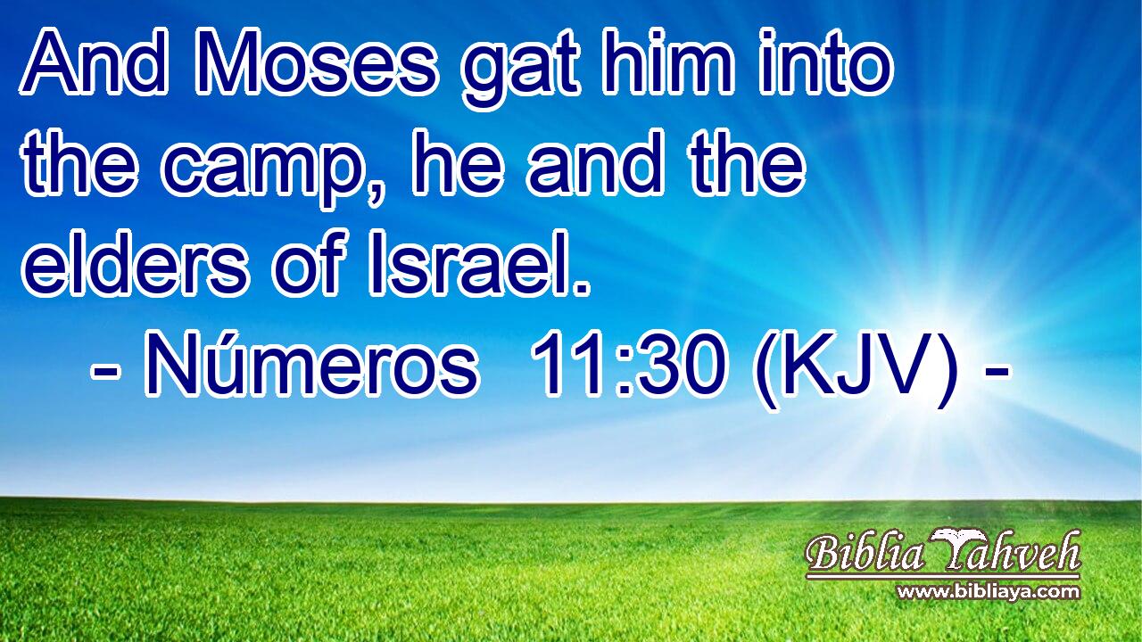 And Moses gat him into the camp, he and the elders of Israel.