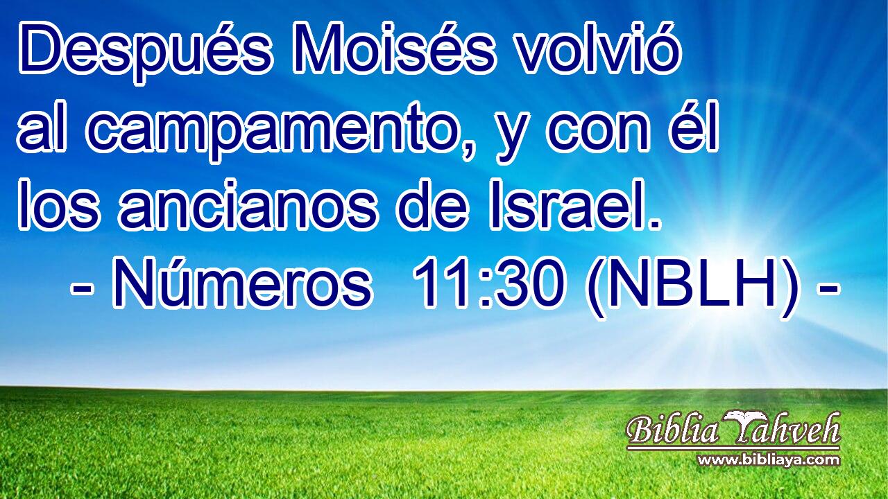  Después Moisés volvió al campamento, y con él los ancianos de Israel. 