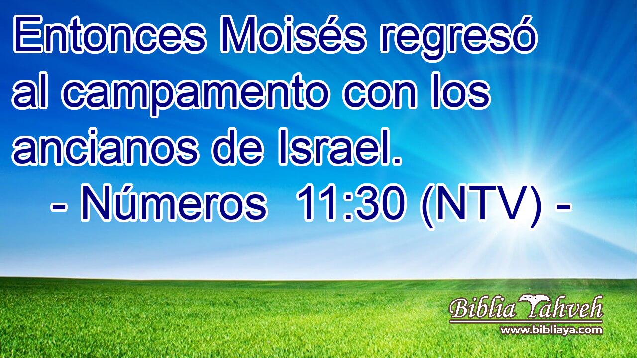 Entonces Moisés regresó al campamento con los ancianos de Israel.