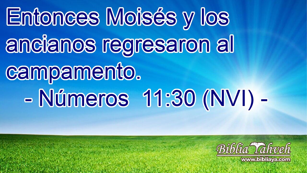  Entonces Moisés y los ancianos regresaron al campamento. 