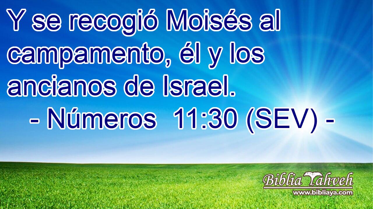 Y se recogió Moisés al campamento, él y los ancianos de Israel.