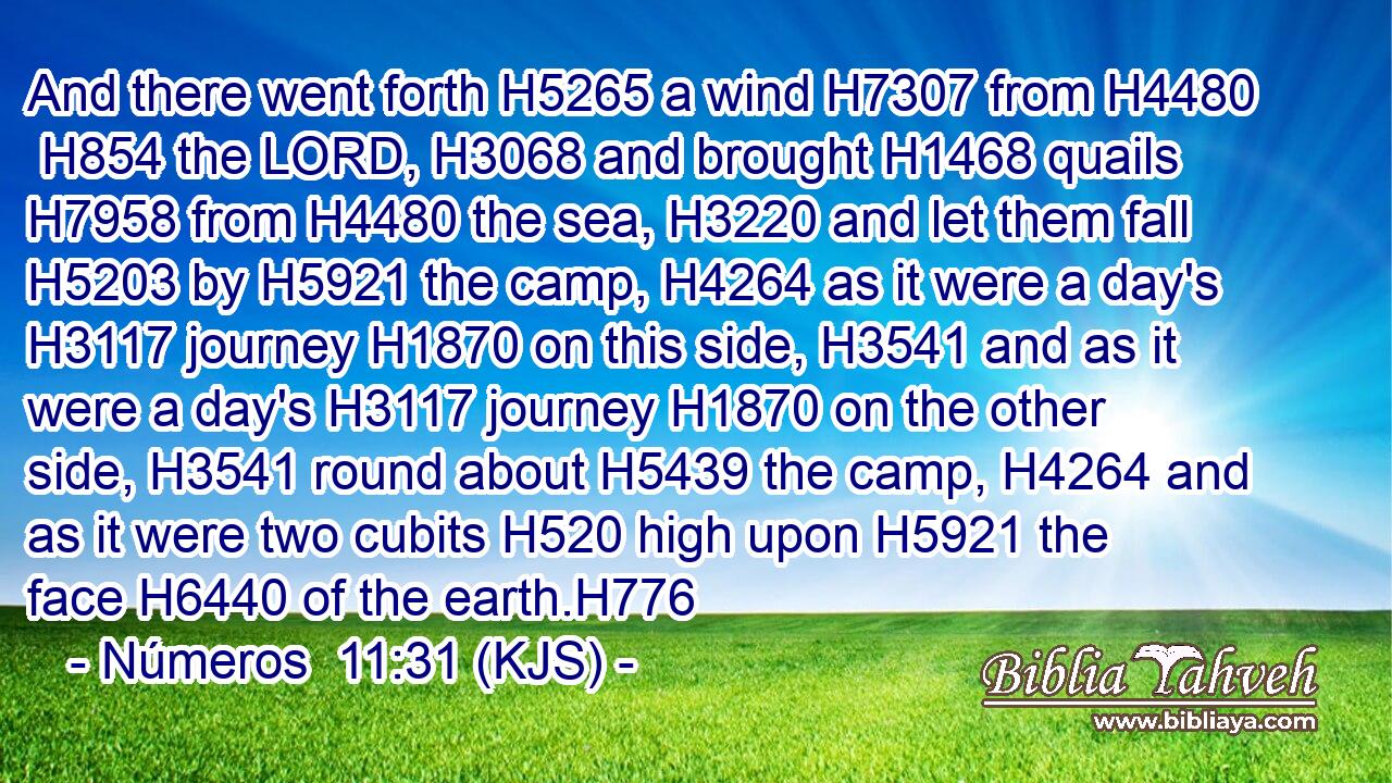 And there went forth H5265 a wind H7307 from H4480  H854 the LORD, H3068 and brought H1468 quails H7958 from H4480 the sea, H3220 and let them fall H5203 by H5921 the camp, H4264 as it were a day's H3117 journey H1870 on this side, H3541 and as it were a day's H3117 journey H1870 on the other side, H3541 round about H5439 the camp, H4264 and as it were two cubits H520 high upon H5921 the face H6440 of the earth.H776