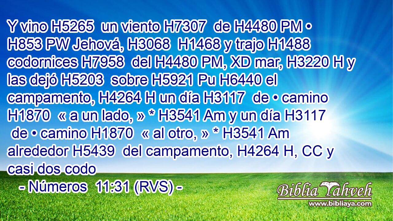 Y vino H5265  un viento H7307  de H4480 PM • H853 PW Jehová, H3068  H1468 y trajo H1488  codornices H7958  del H4480 PM, XD mar, H3220 H y las dejó H5203  sobre H5921 Pu H6440 el campamento, H4264 H un día H3117  de • camino H1870  « a un lado, » * H3541 Am y un día H3117  de • camino H1870  « al otro, » * H3541 Am alrededor H5439  del campamento, H4264 H, CC y casi dos codo