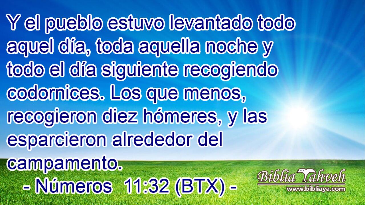 Y el pueblo estuvo levantado todo aquel día, toda aquella noche y todo el día siguiente recogiendo codornices. Los que menos, recogieron diez hómeres, y las esparcieron alrededor del campamento.