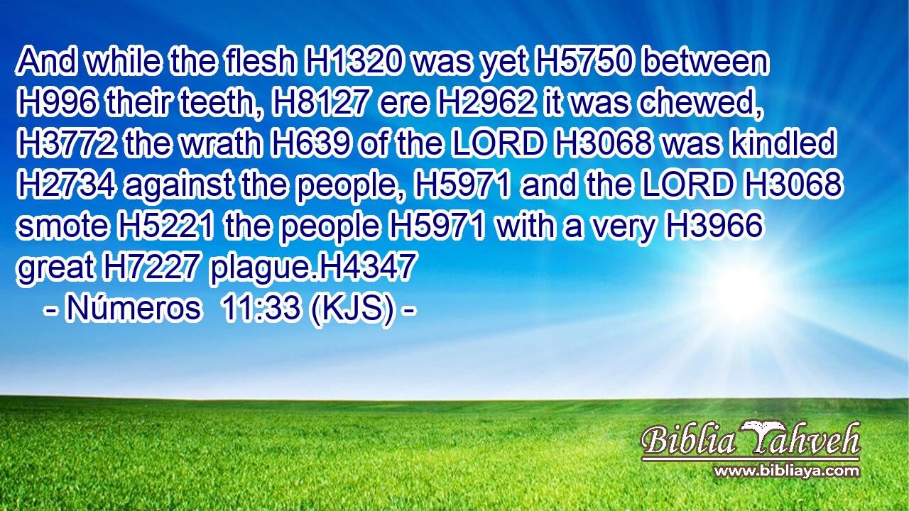 And while the flesh H1320 was yet H5750 between H996 their teeth, H8127 ere H2962 it was chewed, H3772 the wrath H639 of the LORD H3068 was kindled H2734 against the people, H5971 and the LORD H3068 smote H5221 the people H5971 with a very H3966 great H7227 plague.H4347