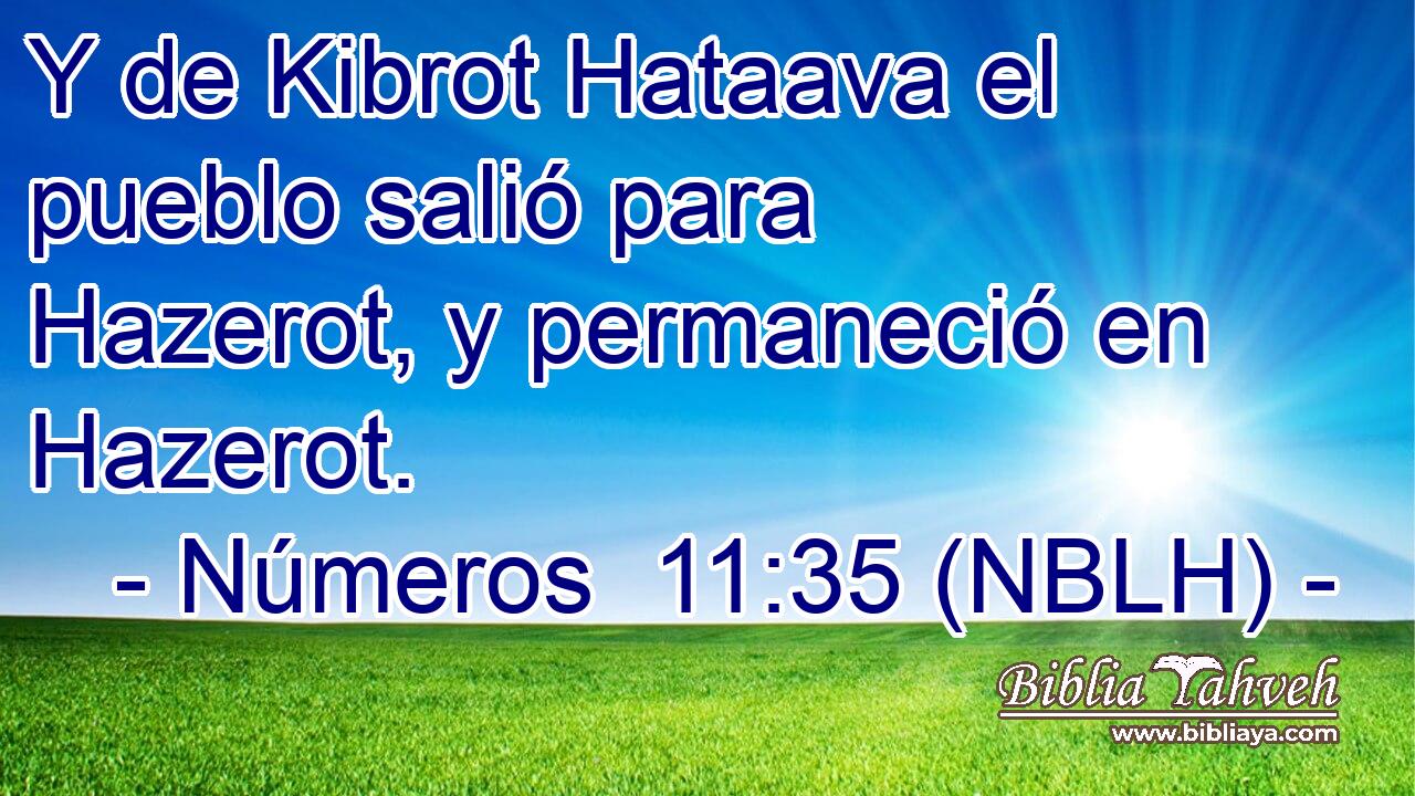 Y de Kibrot Hataava el pueblo salió para Hazerot, y permaneció en Hazerot. 