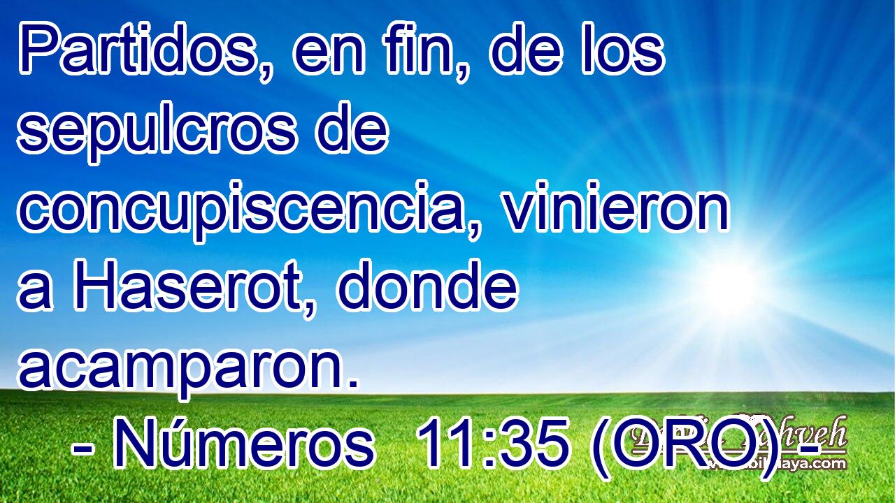  Partidos, en fin, de los sepulcros de concupiscencia, vinieron a Haserot, donde acamparon. 