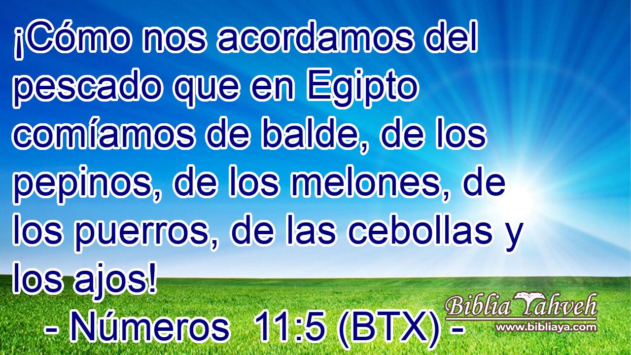 ¡Cómo nos acordamos del pescado que en Egipto comíamos de balde, de los pepinos, de los melones, de los puerros, de las cebollas y los ajos!
