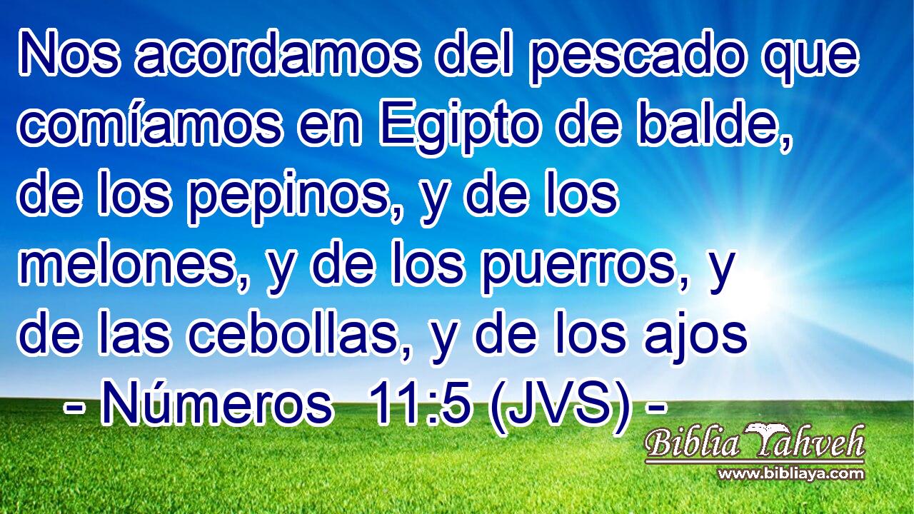 Nos acordamos del pescado que comíamos en Egipto de balde, de los pepinos, y de los melones, y de los puerros, y de las cebollas, y de los ajos