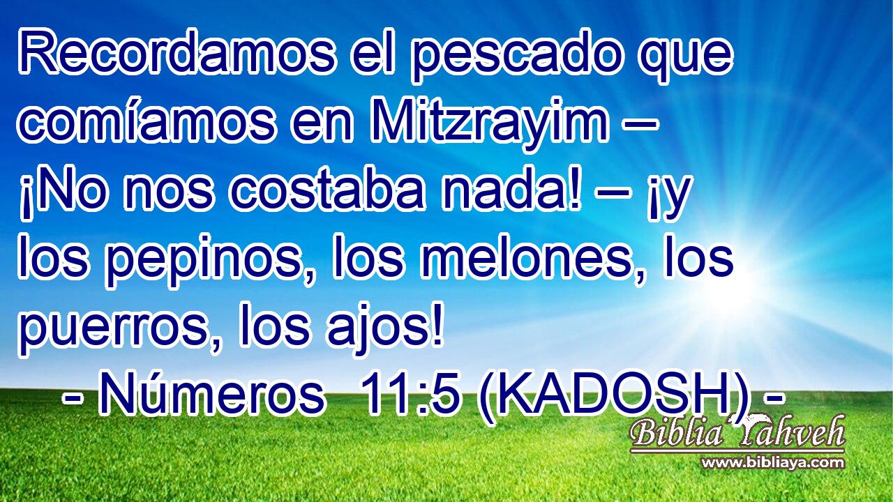  Recordamos el pescado que comíamos en Mitzrayim – ¡No nos costaba nada! – ¡y los pepinos, los melones, los puerros, los ajos! 