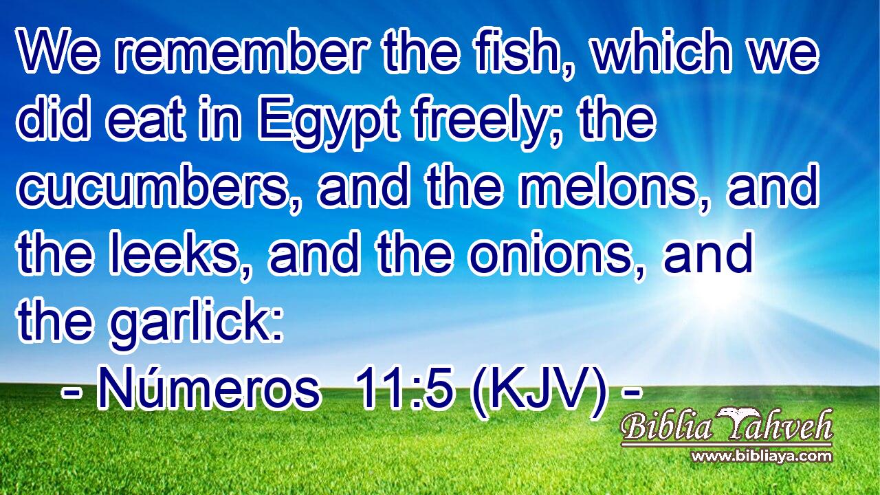 We remember the fish, which we did eat in Egypt freely; the cucumbers, and the melons, and the leeks, and the onions, and the garlick: