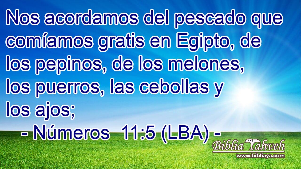Nos acordamos del pescado que comíamos gratis en Egipto, de los pepinos, de los melones, los puerros, las cebollas y los ajos;