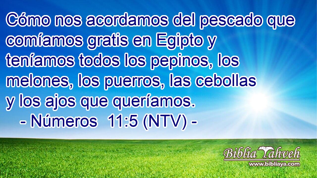 Cómo nos acordamos del pescado que comíamos gratis en Egipto y teníamos todos los pepinos, los melones, los puerros, las cebollas y los ajos que queríamos.