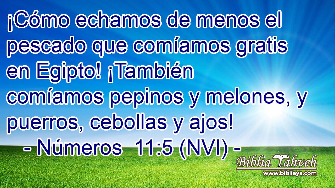 ¡Cómo echamos de menos el pescado que comíamos gratis en Egipto! ¡También comíamos pepinos y melones, y puerros, cebollas y ajos! 