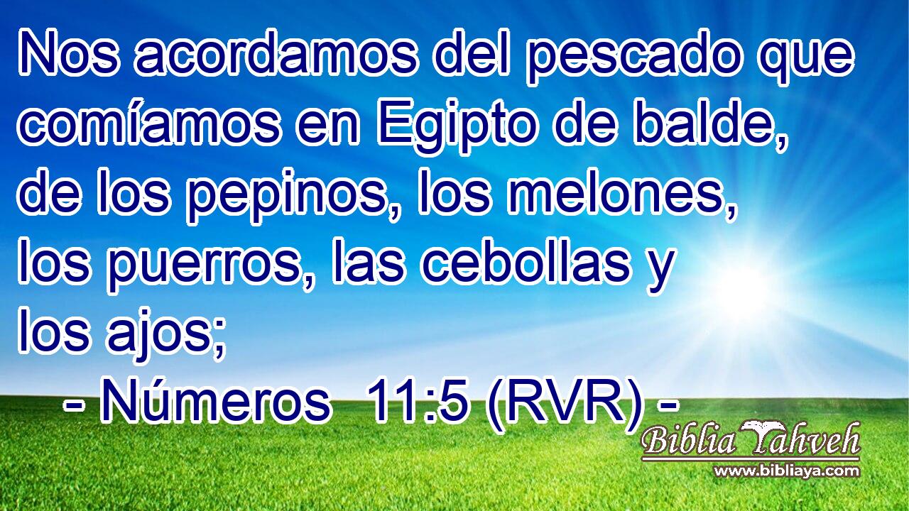 Nos acordamos del pescado que comíamos en Egipto de balde, de los pepinos, los melones, los puerros, las cebollas y los ajos;