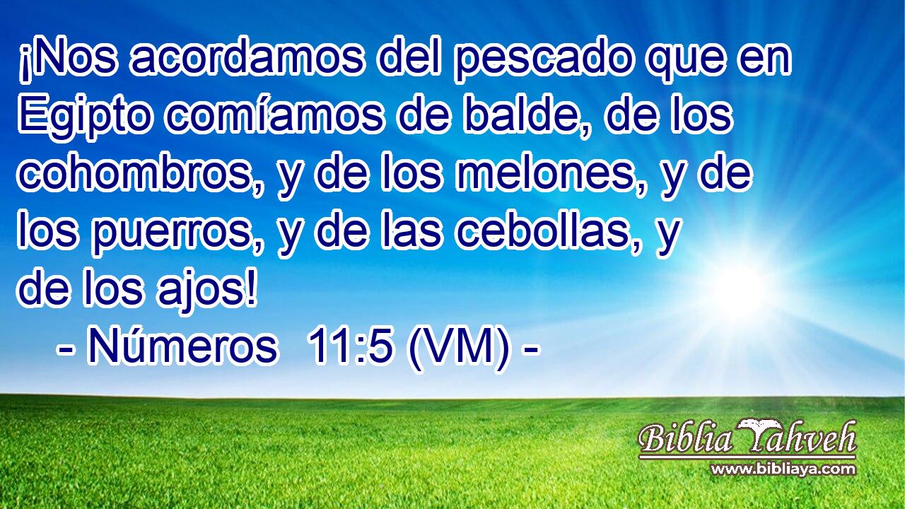  ¡Nos acordamos del pescado que en Egipto comíamos de balde, de los cohombros, y de los melones, y de los puerros, y de las cebollas, y de los ajos! 