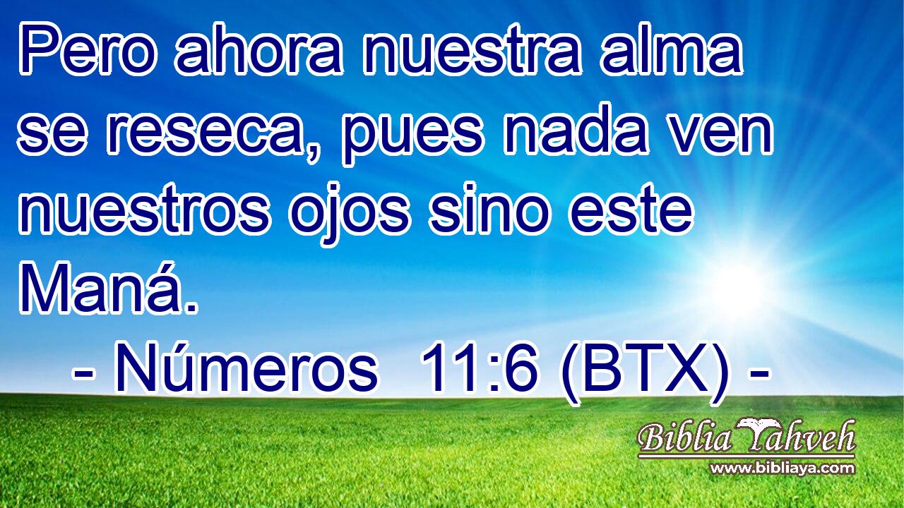 Pero ahora nuestra alma se reseca, pues nada ven nuestros ojos sino este Maná.