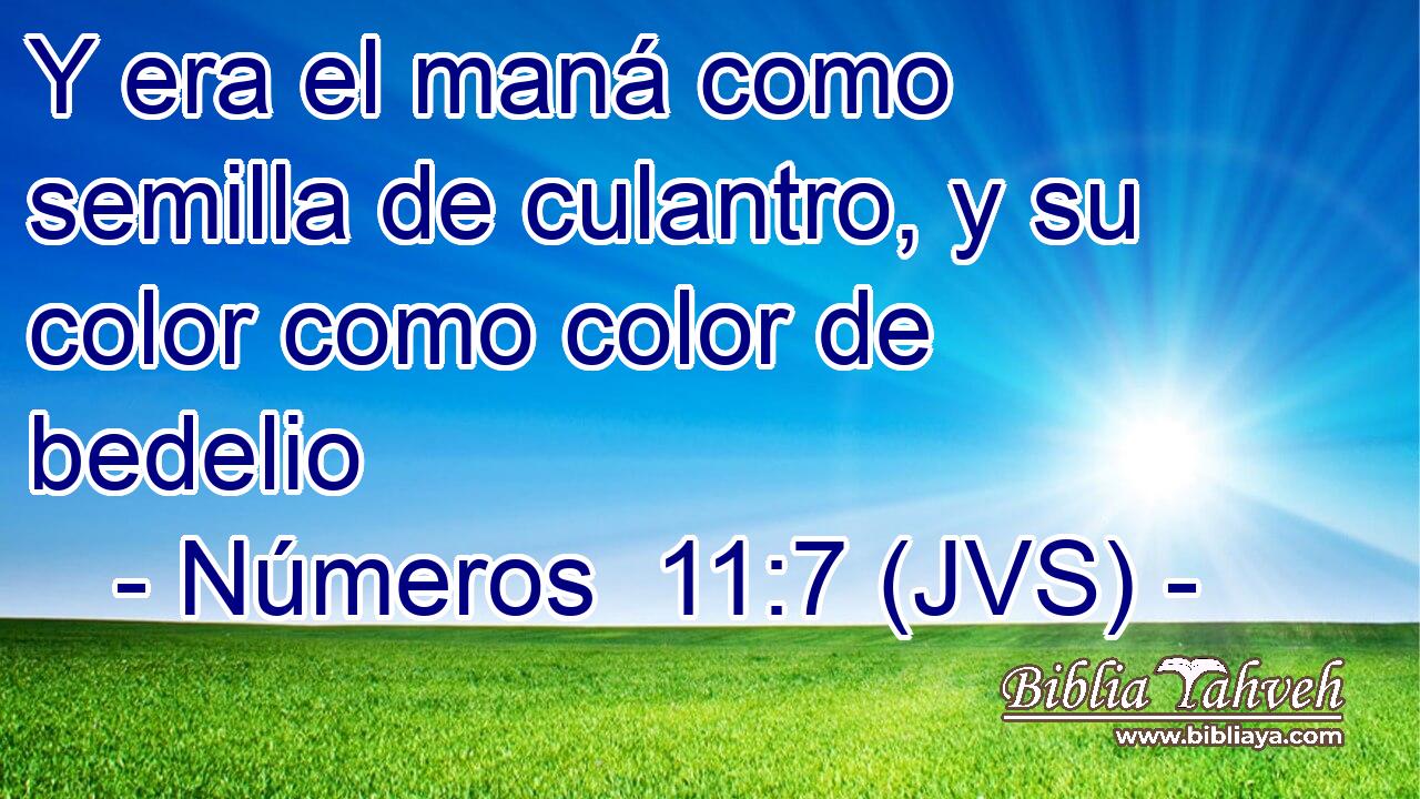 Y era el maná como semilla de culantro, y su color como color de bedelio
