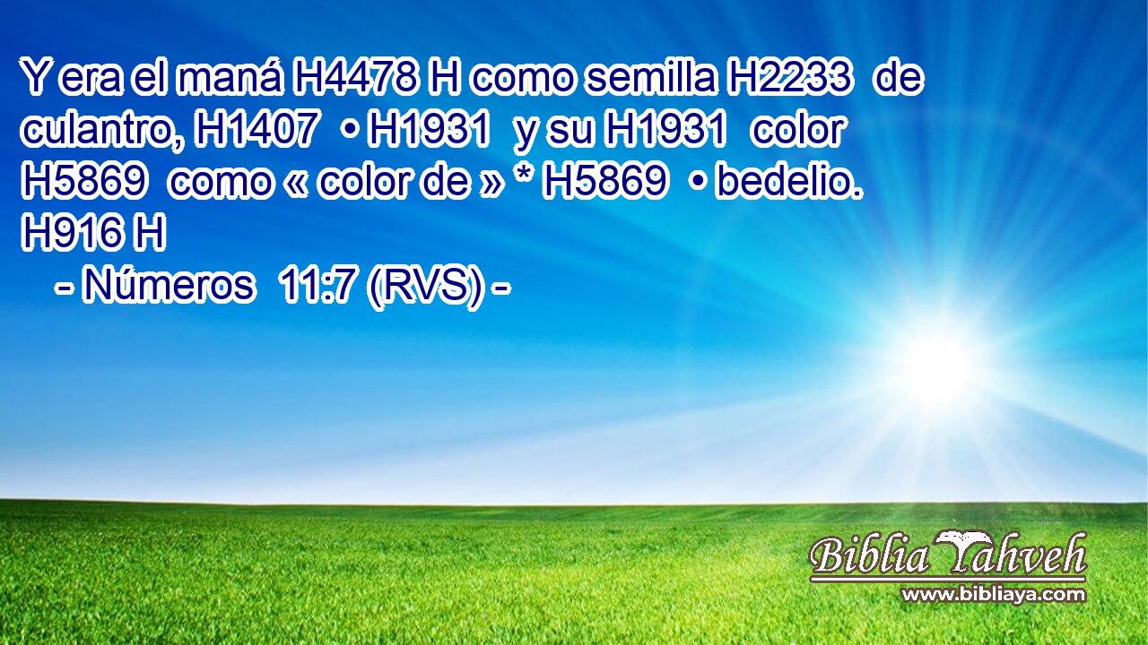 Y era el maná H4478 H como semilla H2233  de culantro, H1407  • H1931  y su H1931  color H5869  como « color de » * H5869  • bedelio. H916 H 