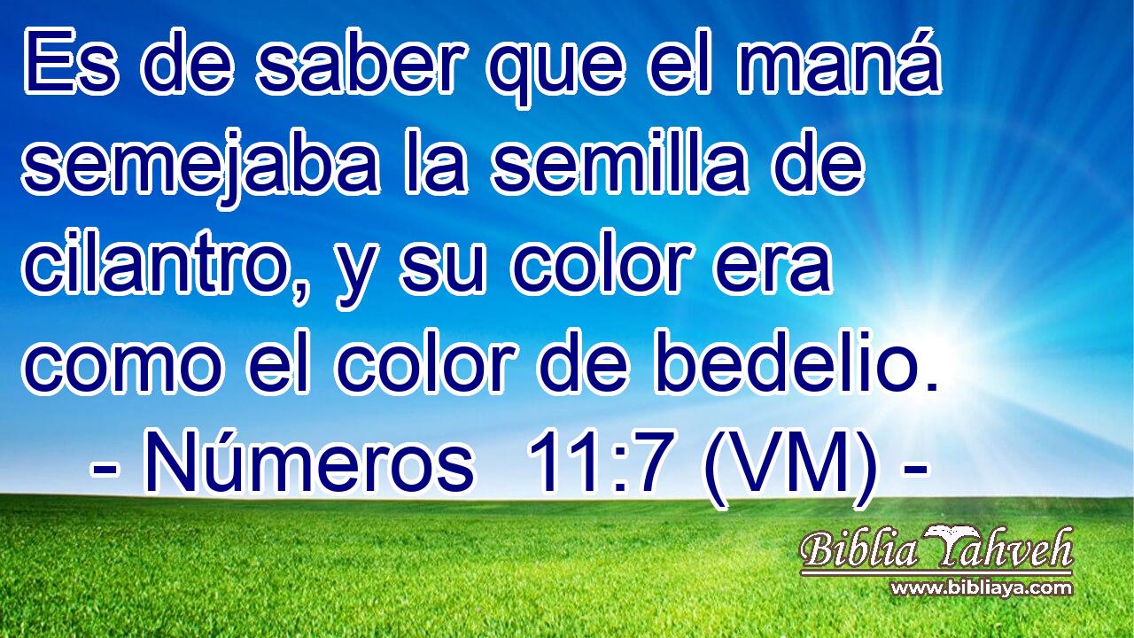  Es de saber que el maná semejaba la semilla de cilantro, y su color era como el color de bedelio. 